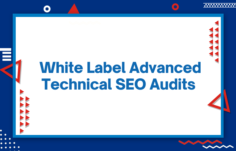 White Label Advanced Technical SEO Audits For Agencies And Consultants