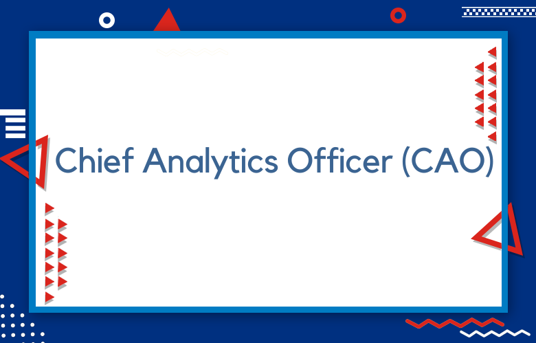 Chief Analytics Officer (CAO) Role And Responsibilities