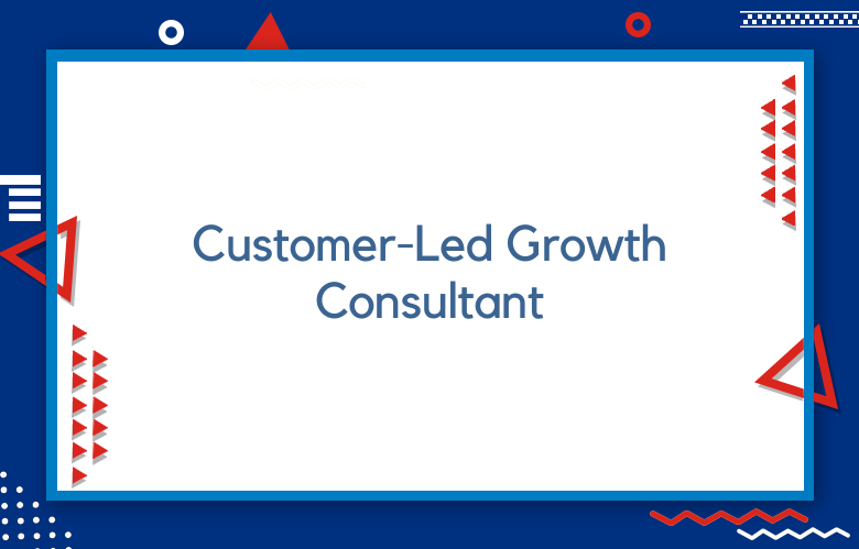 Customer-Led Growth Consultant